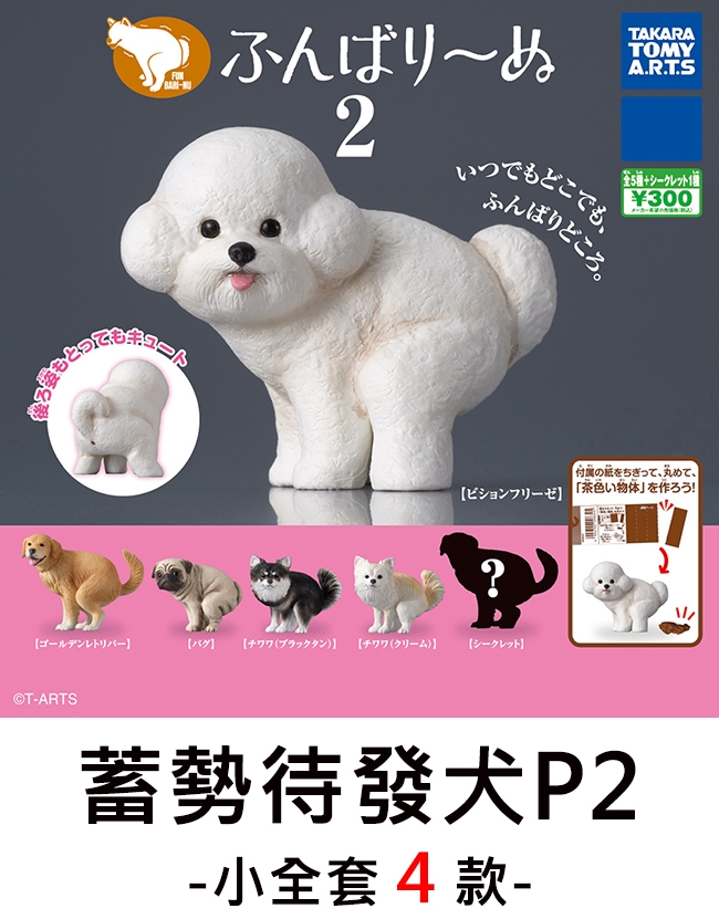 2TAKARATOMYA.R.T.S+シークレット1300いつでもどこでもふんばりどころ。ビションフリーゼ?ゴールデンレトリバー】 チワワ (ブラックタン)】 チワワ (クリーム)】シークレット】©T-ARTS付属のをちぎって、て、「茶色い物体」を作ろう!蓄勢待發犬P2-小全套4 款-