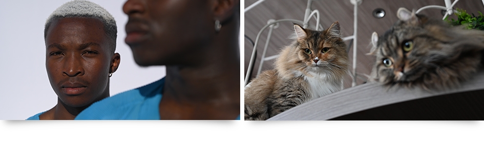 Nikon尼康 Z6 II - 詳情6