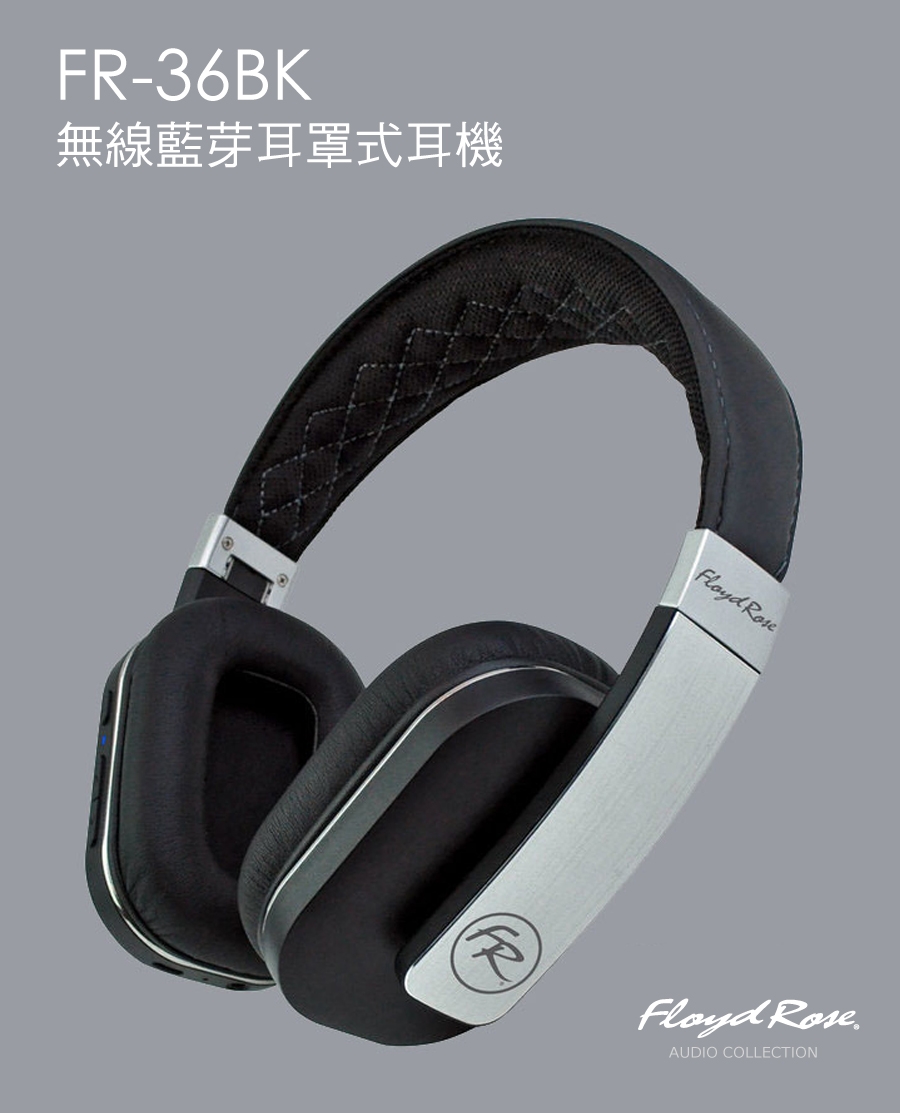 Floyd Rose FR-36BK - 詳情8