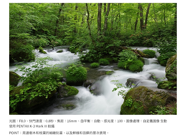 Pentax賓得士 HD DA*16-50mm F 2.8 ED PLM AW - 詳情4