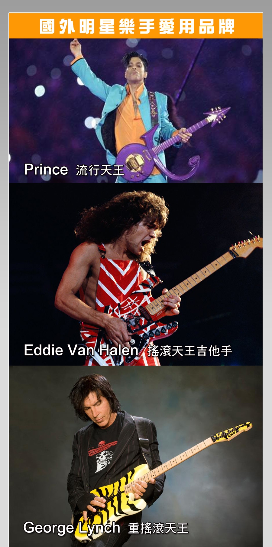 Floyd Rose FR-36BK - 詳情12