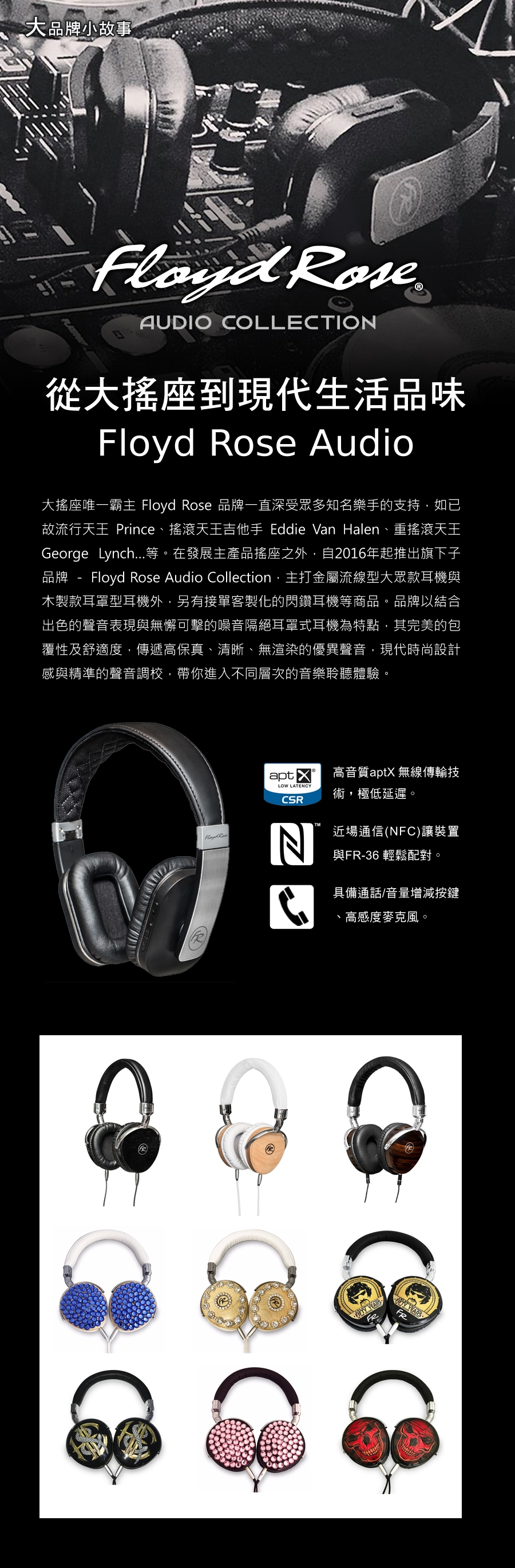 Floyd Rose FR-36BK - 詳情15