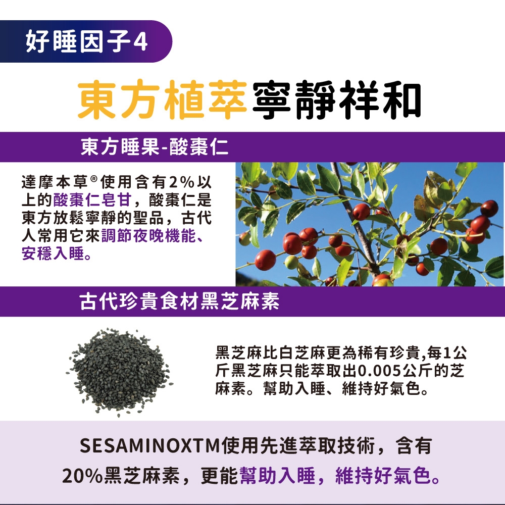好睡因子4東方植萃寧靜祥和東方睡果-酸棗仁達摩本草®使用含有2%以上的酸棗仁皂甘,酸棗仁是東方放鬆寧靜的聖品,古代常用它來調節夜晚機能、安穩入睡。古代珍貴食材黑芝麻素黑芝麻白芝麻更為稀有珍貴,每1公斤黑芝麻只能萃取出0.005公斤的芝麻素。幫助入睡、維持好氣色。SESAMINOXTM使用先進萃取技術,含有20%黑芝麻素,更能幫助入睡,維持好氣色。
