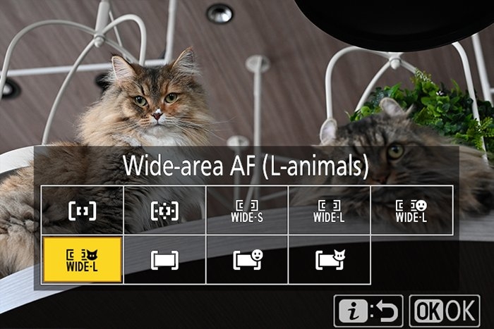 Nikon尼康 Z6 II - 詳情18