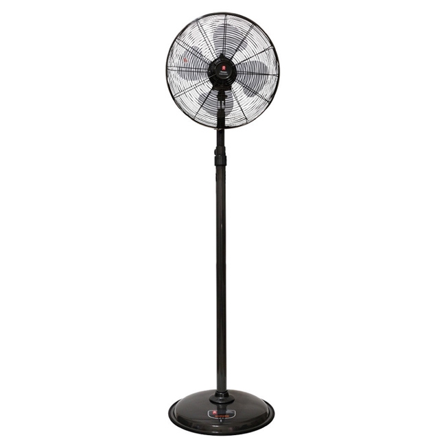 NYPI南亞 EF-1899 - 詳情4