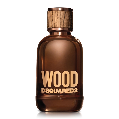 DSQUARED2 WOOD 天性男性淡香水100ml | 香水/香精/香膏| Yahoo購物中心