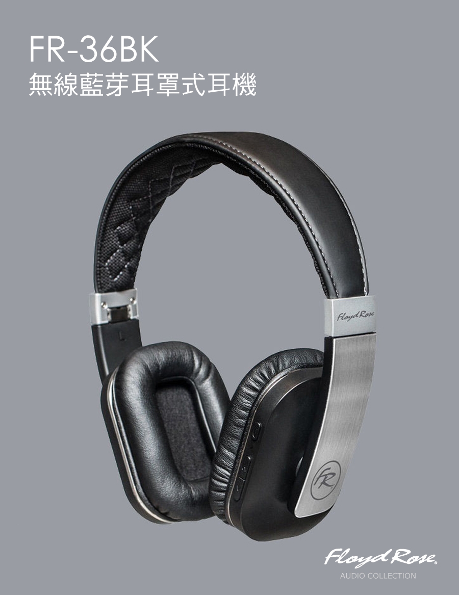 Floyd Rose FR-36BK - 詳情20