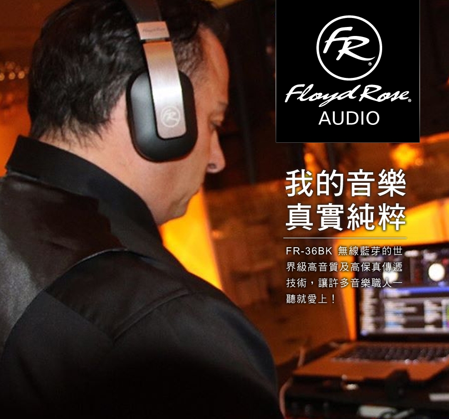 Floyd Rose FR-36BK - 詳情21