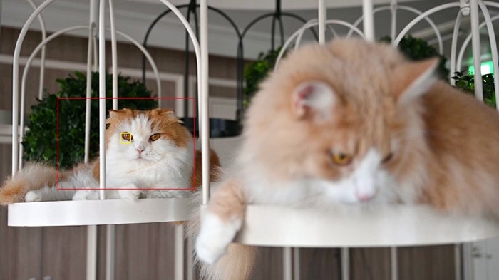 Nikon尼康 Z6 II - 詳情31