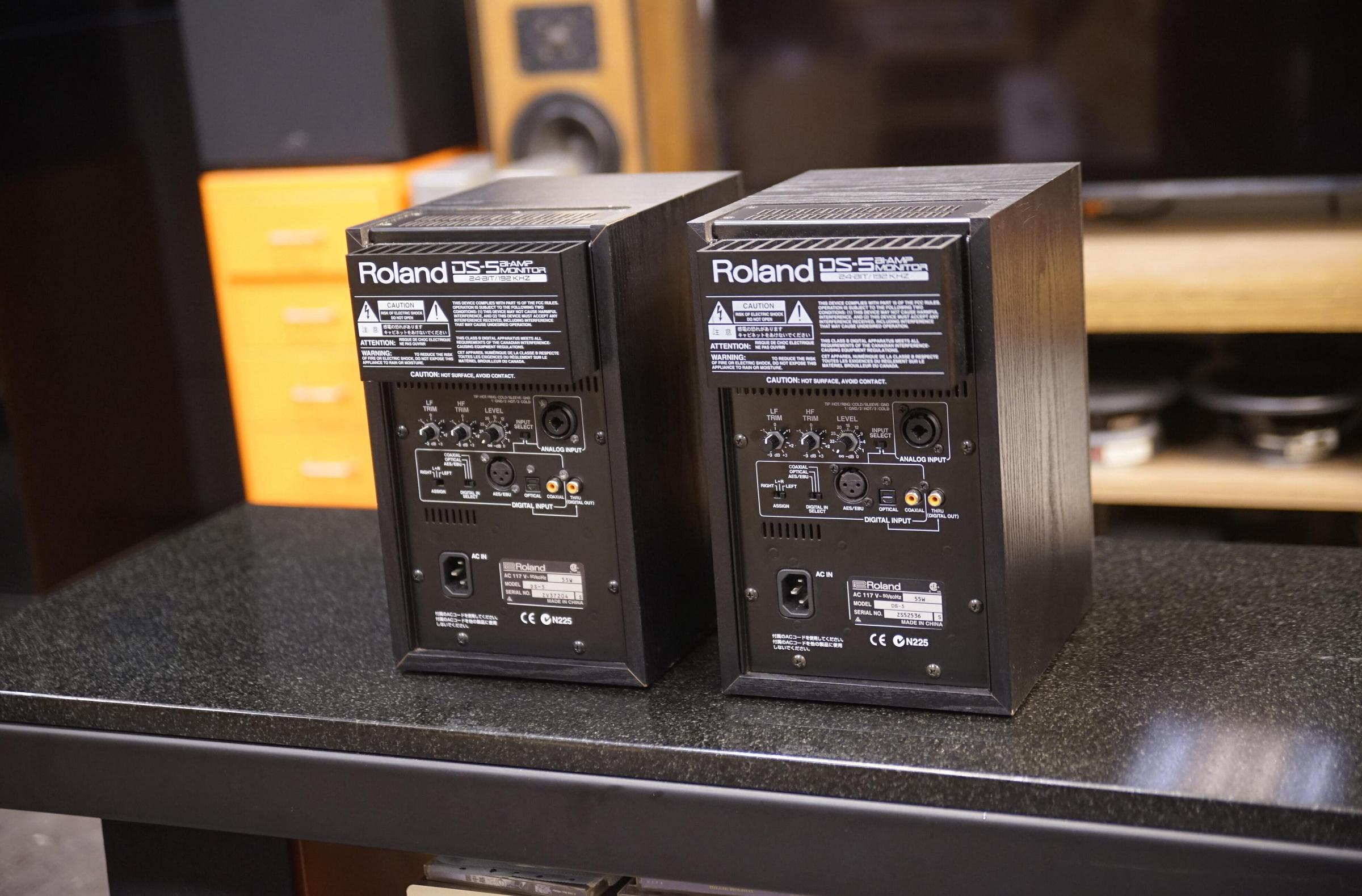 一元音響] 絕版經典銘品高階旗艦日本Roland DS-5 可數位輸入主動