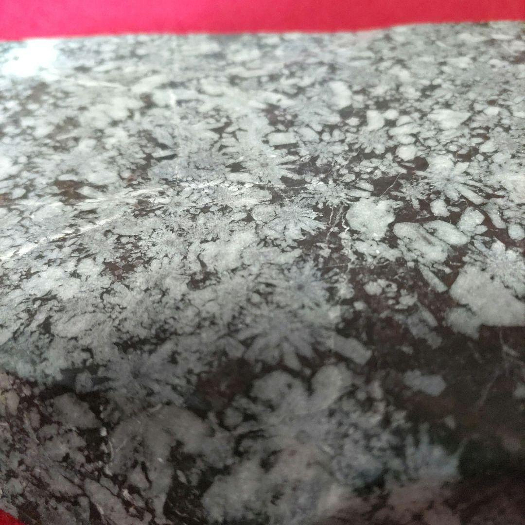 梅花石觀賞石D544 | Yahoo拍賣
