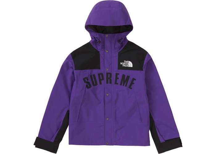 Supreme The North Face Arc Logo Mountain Jacket Gore-Tex 紫