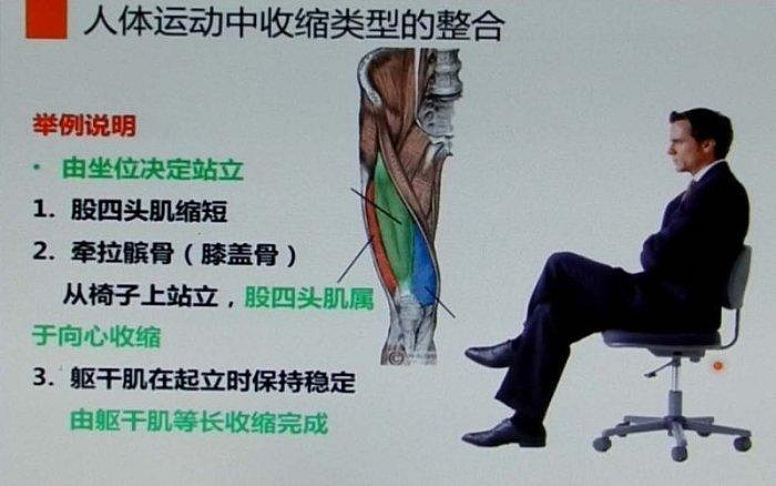 李哲解剖教学资料原始资料图片第6
