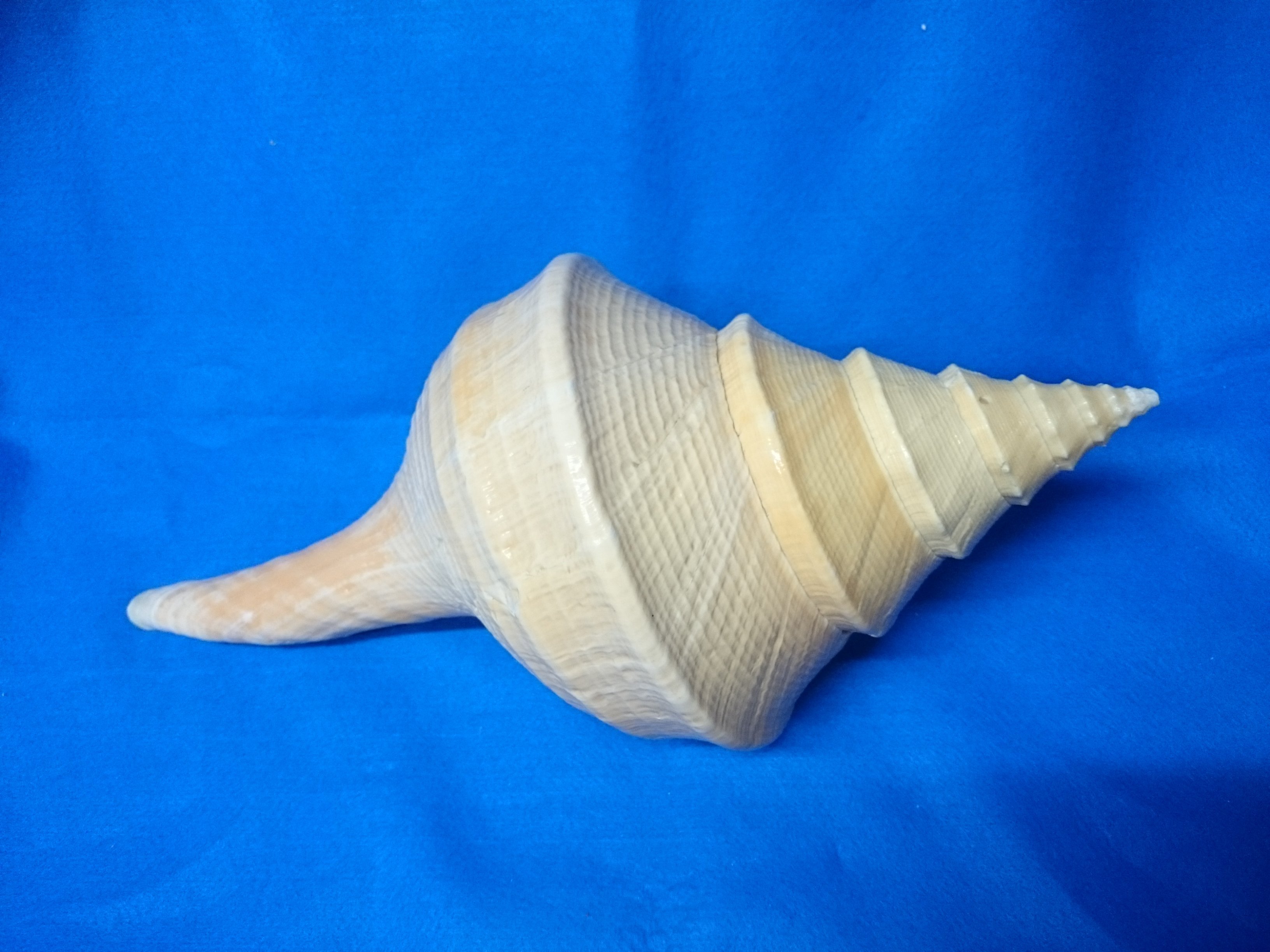 15f38fdb-2a00-45b7-aa27-