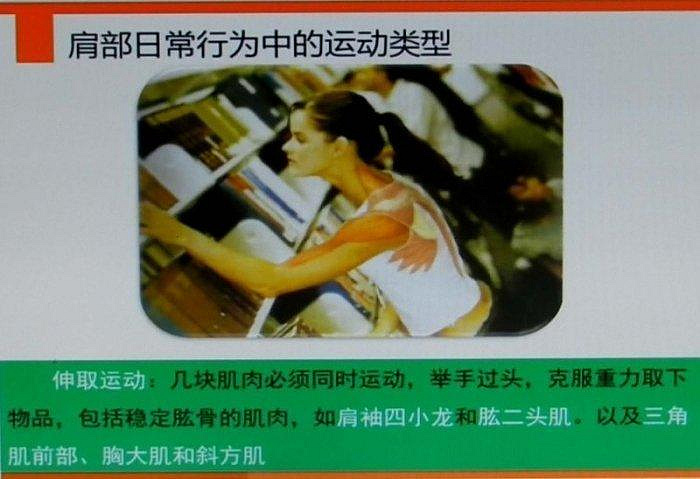 李哲解剖教学资料原始资料图片第8