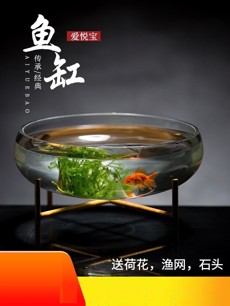 大型荷花缸的價格推薦- 2026年7月| 比價比個夠BigGo
