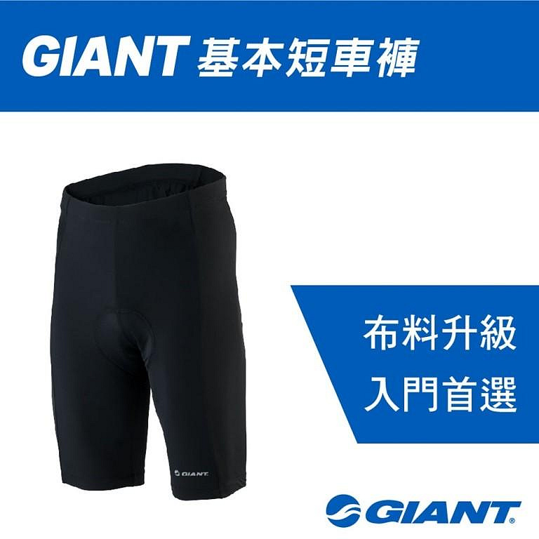 公司貨 捷安特 GIANT 基本專業短車褲 自行車褲