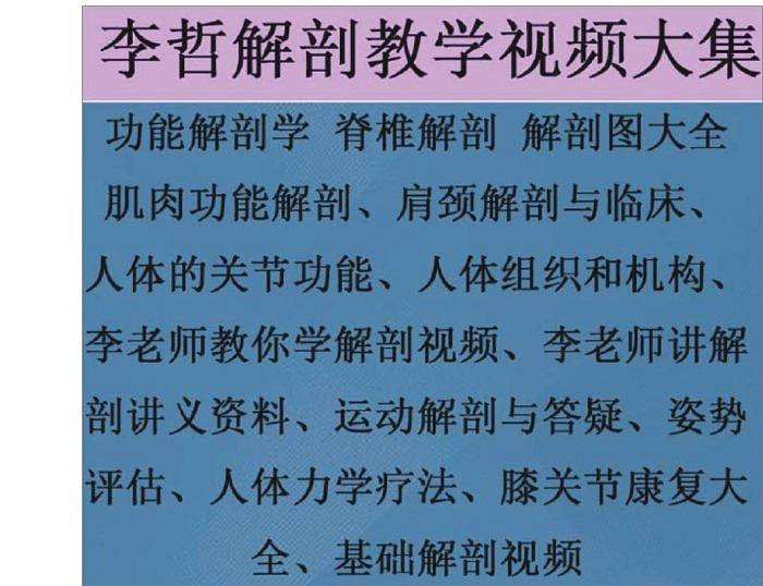 李哲解剖教学资料原始资料图片第2