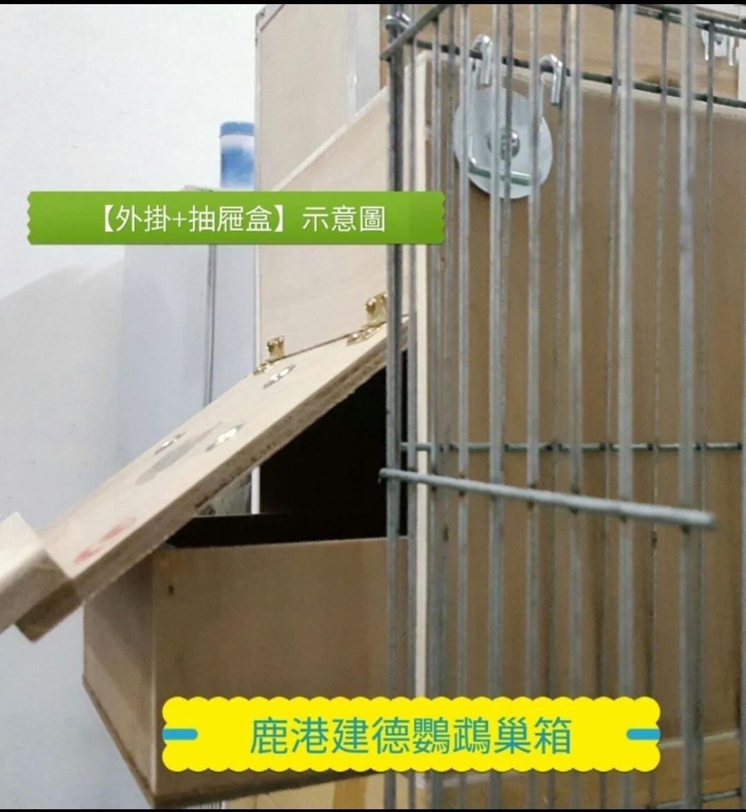 掛軸　蘭桂　猛虎　共箱 鳥窩鸚鵡窩保暖大號木製鳥房子鳥窩鳥籠虎皮鸚鵡八哥繁殖箱實木
