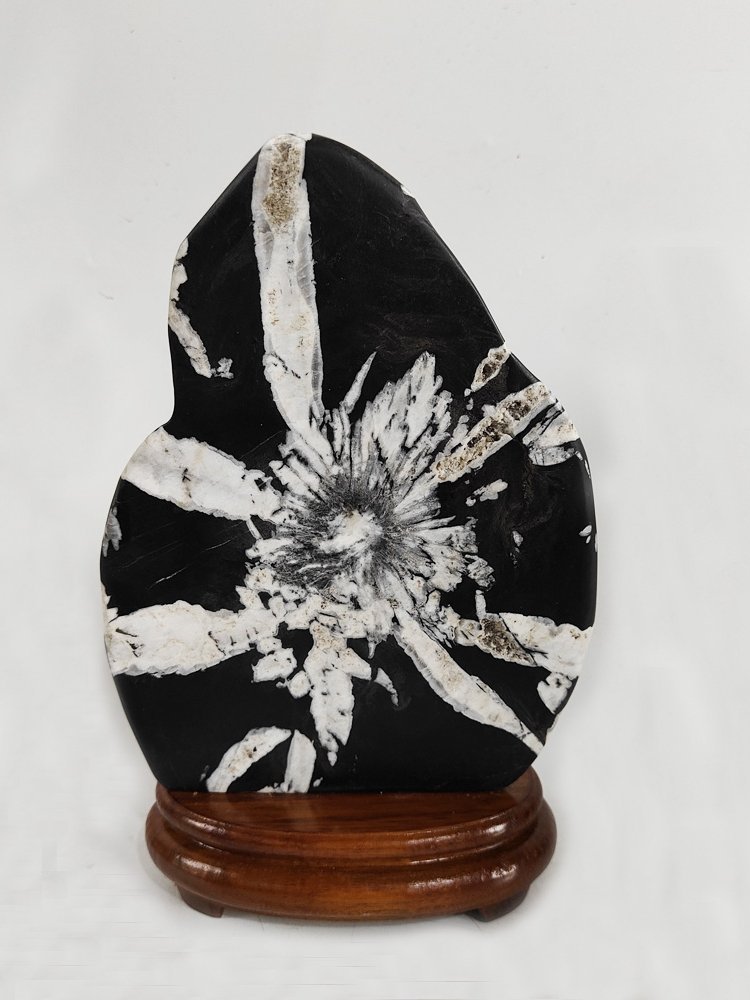 漂亮天然黑色菊花石雕奇石觀賞石原石材料桌面新中式擺【爆款特賣】請