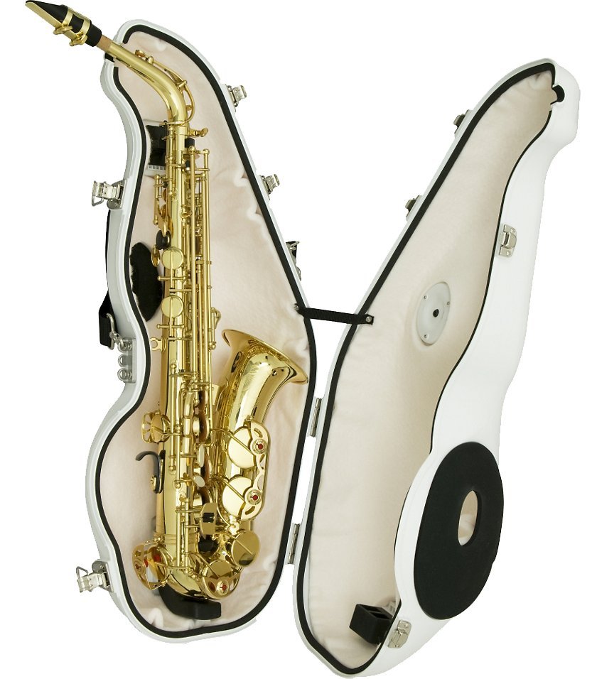 唐川音樂§【Best Brass e-Sax ES3-AS 中音薩克斯風用靜音箱】(日本