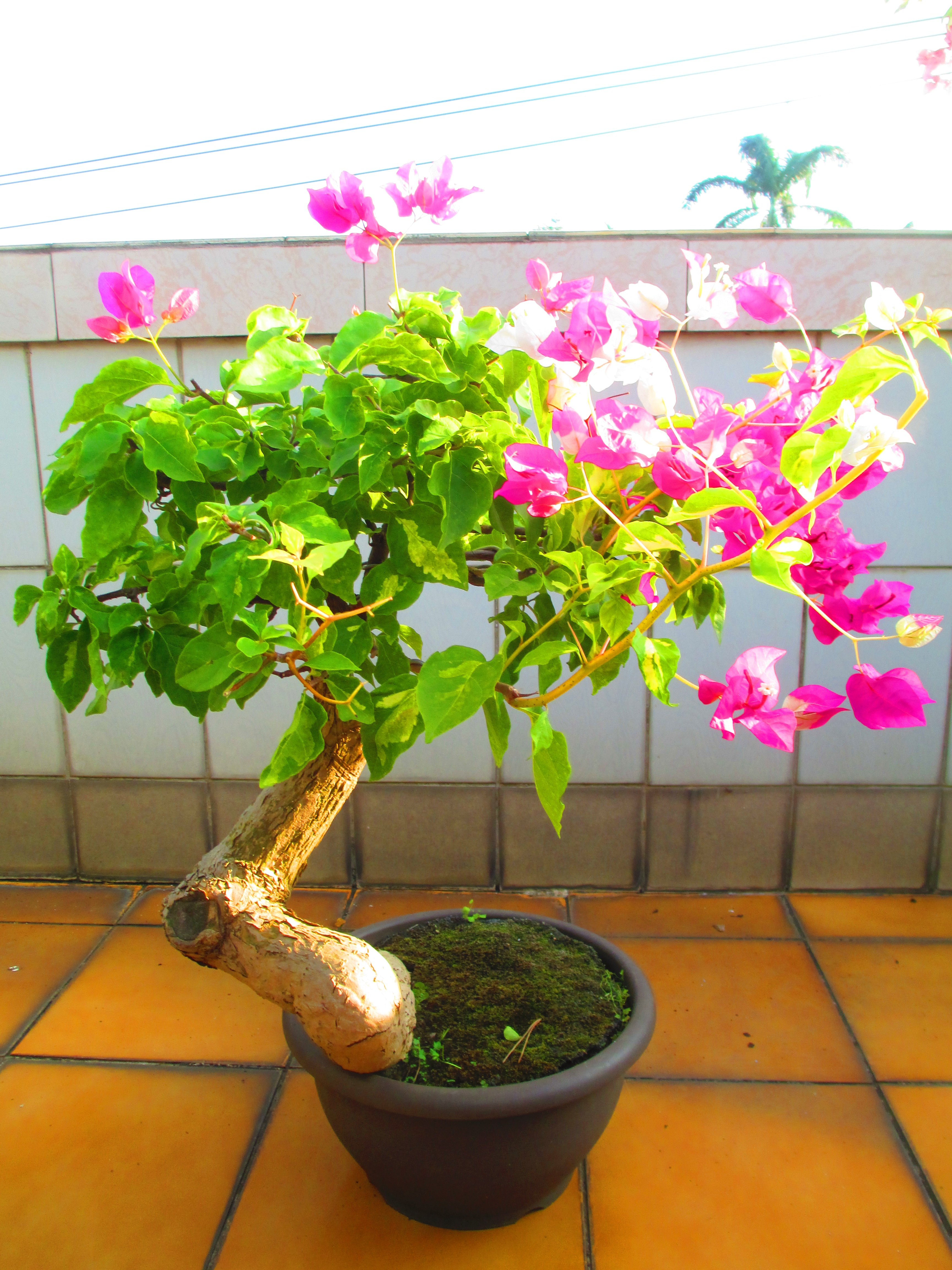 281eebb1-1337-4f7b-8cb7-