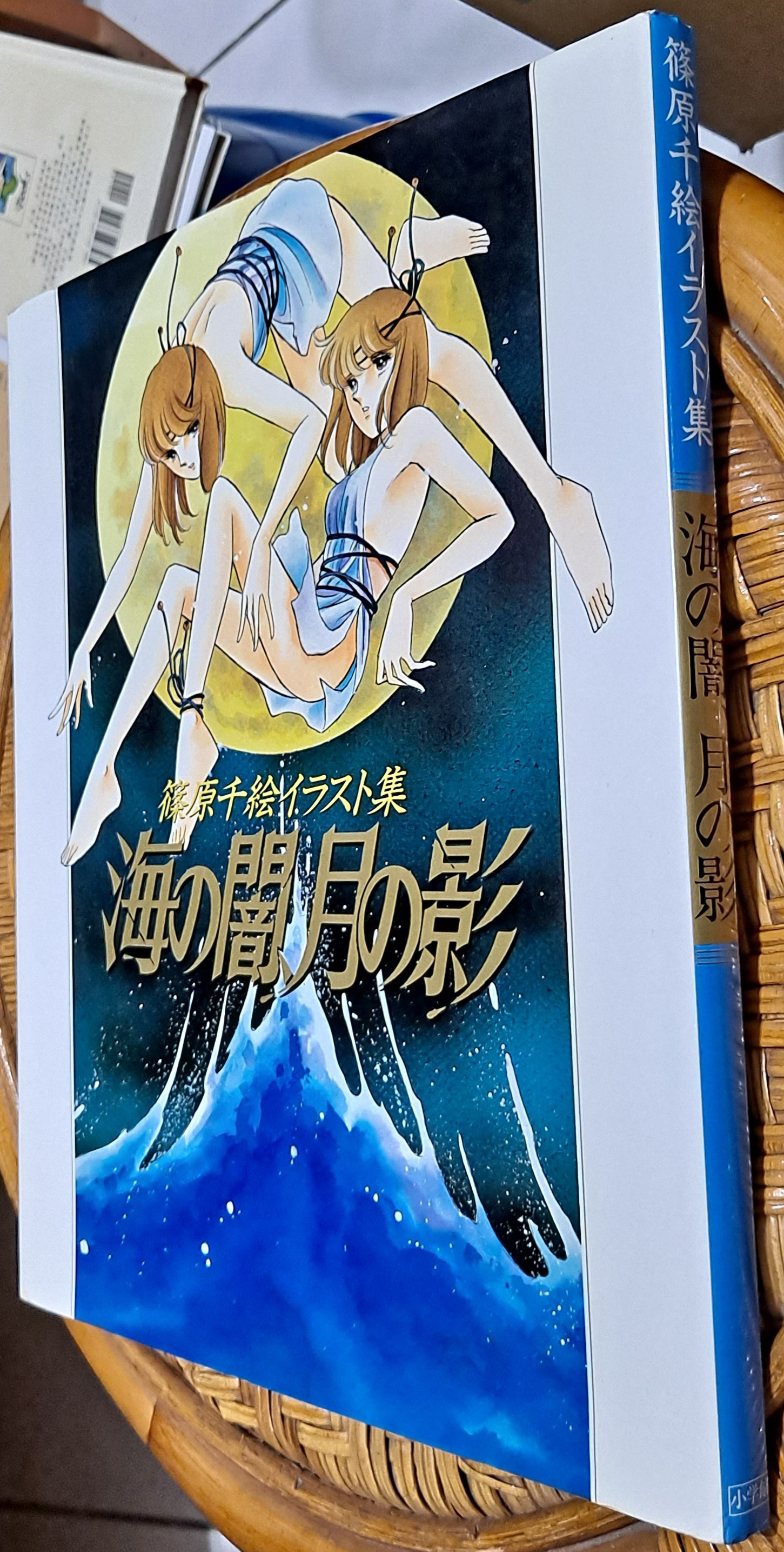 ◕‿◕):°*＊日文版畫冊:°* ～＊海の闇、月の影─イラスト集＊()～篠原