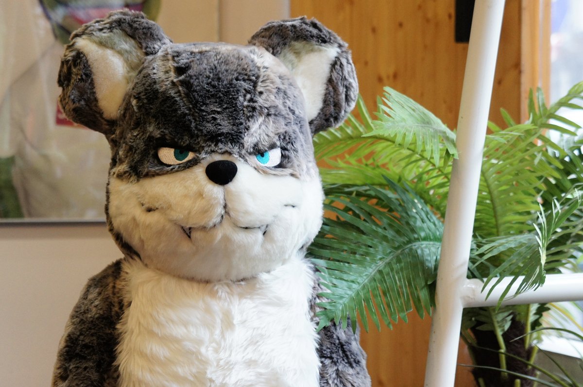 fragment wolf bearbrick