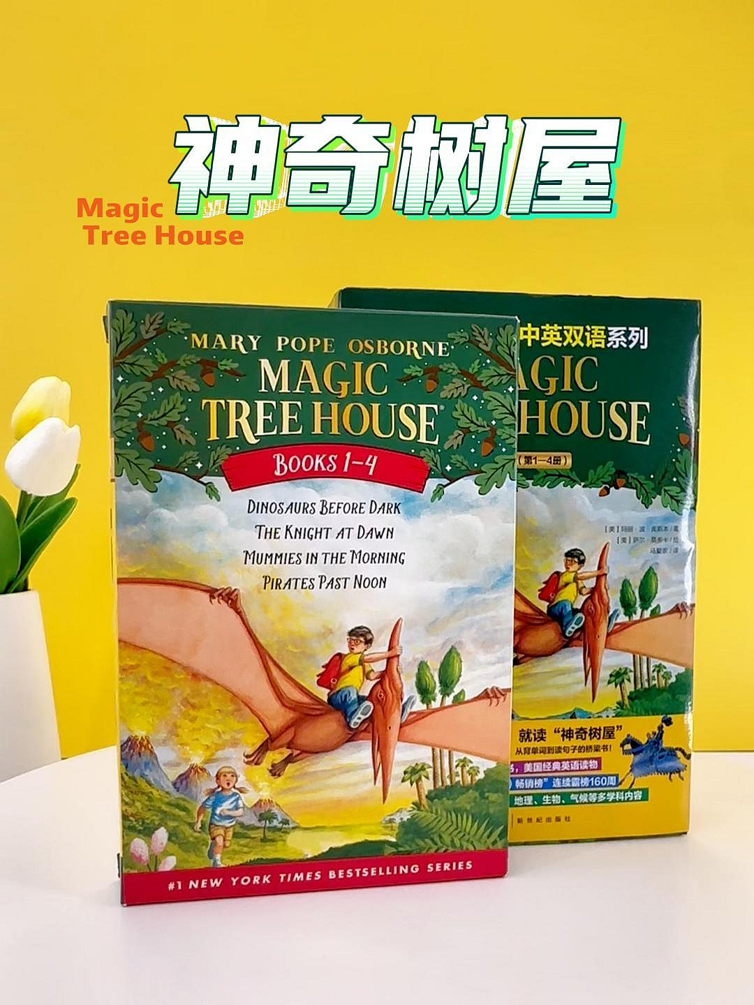神奇樹屋英語原版Magic Tree House神奇樹屋全套英文原版讀物探險文學