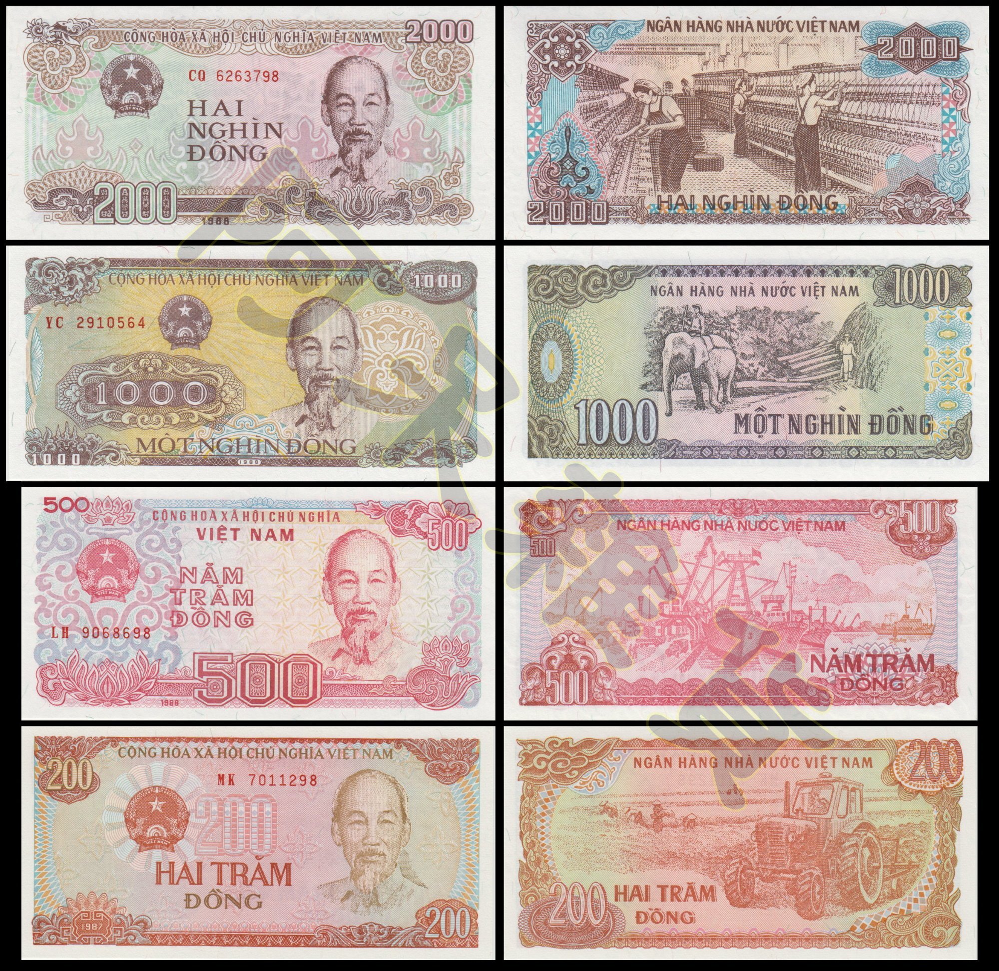 森羅本舖現貨實拍越南盾七張一套越南鈔票真鈔鈔200 500 1000 2000 10000 20000 | Yahoo拍賣