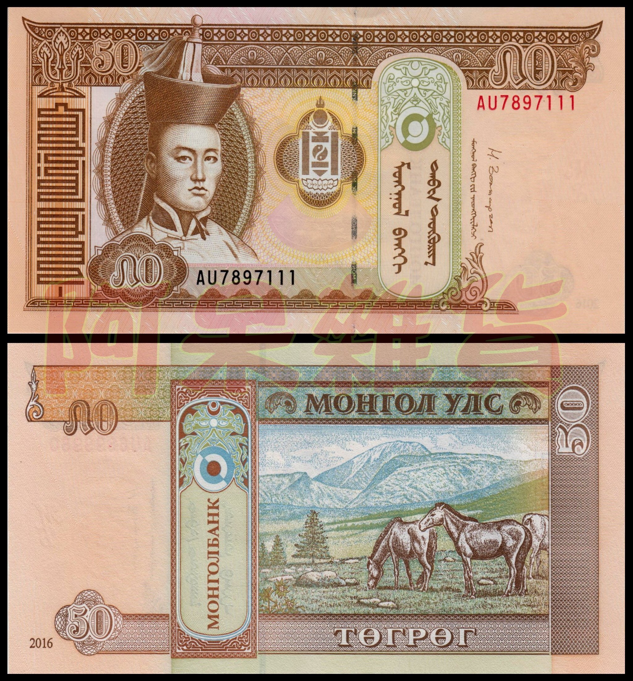 阿呆雜貨現貨實拍蒙古50元現貨全新無折真鈔實體拍攝紙鈔五色錢五色| Yahoo拍賣