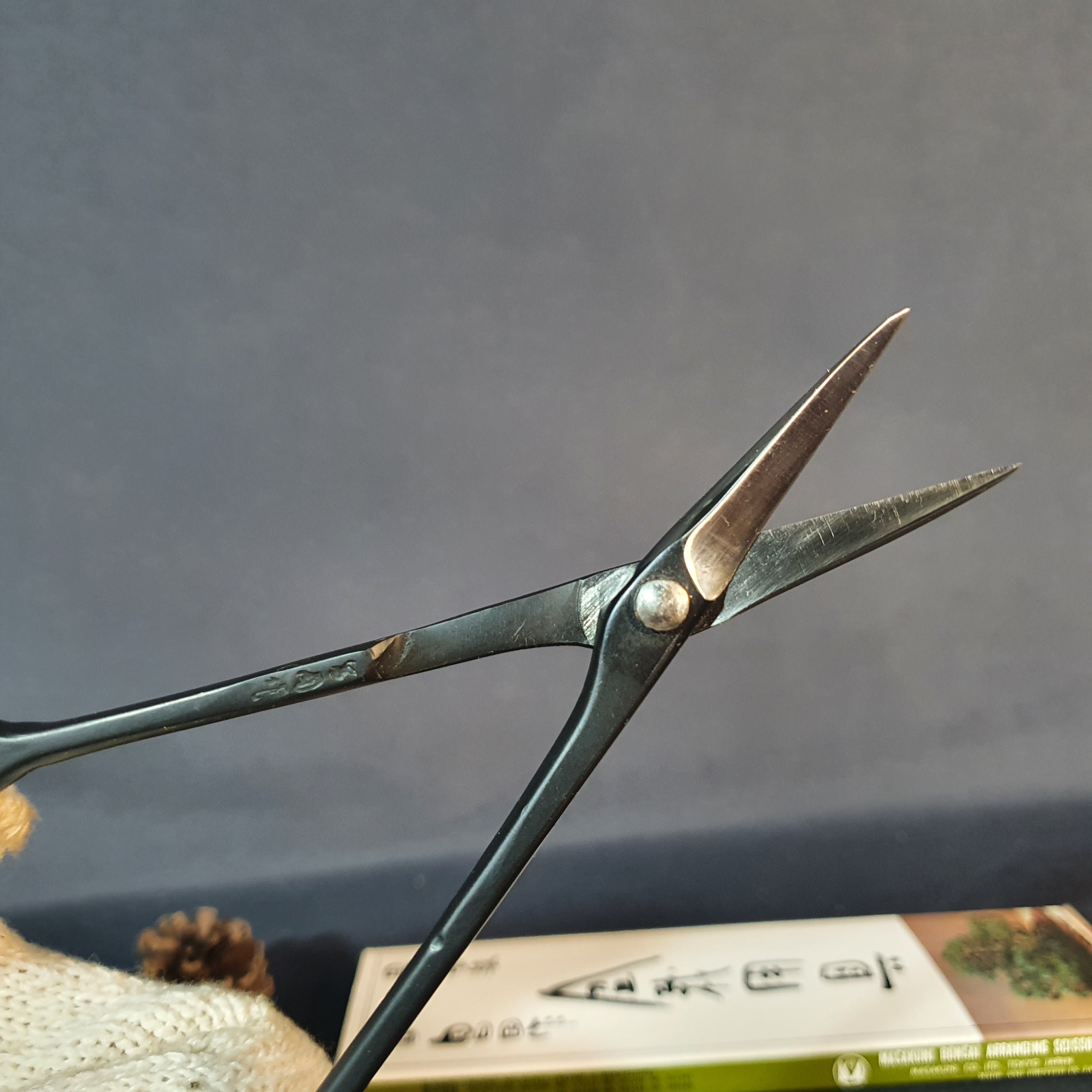MASAKUNI】昌國作園藝工具最高級特許D型長柄剪定鋏NO:S-103 日本