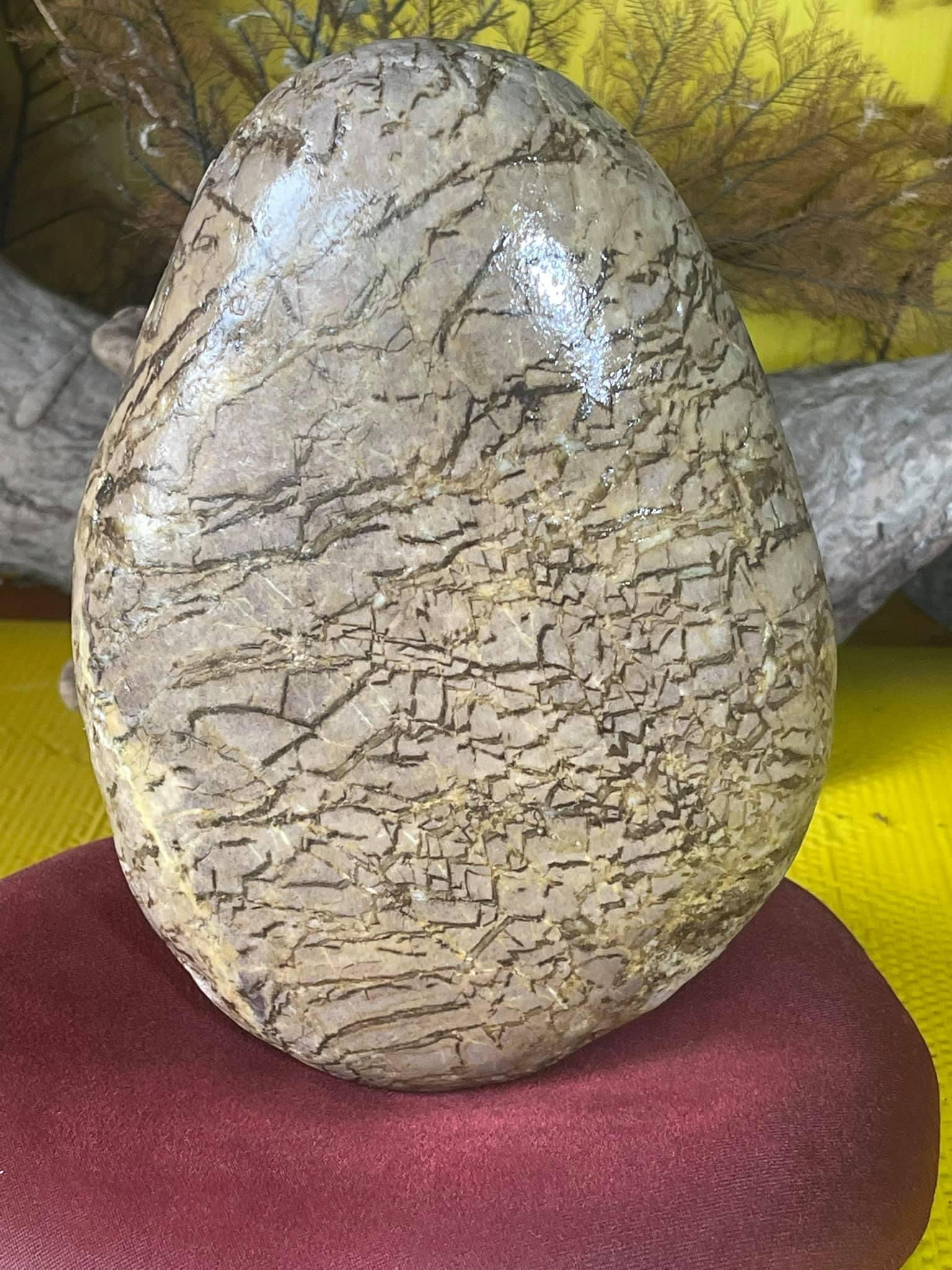 海洗黃虎皮水玉絕美大品觀賞石樹化玉化石古骨董古文玩名家壺中國台灣