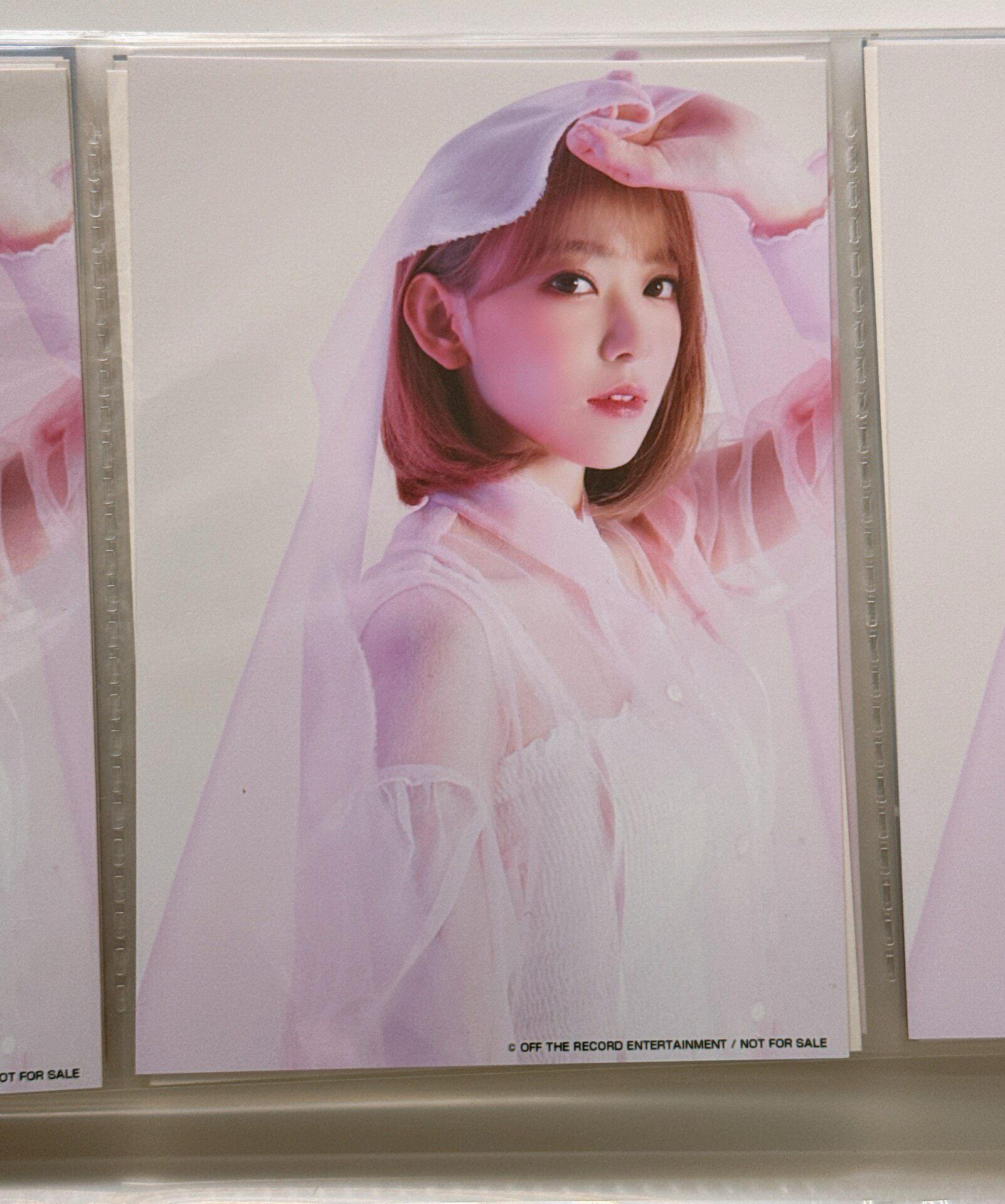 IZONE 宮脇咲良IZONE 短櫻花寫真嚴選布宜諾斯艾利斯真人大小單封生寫矮