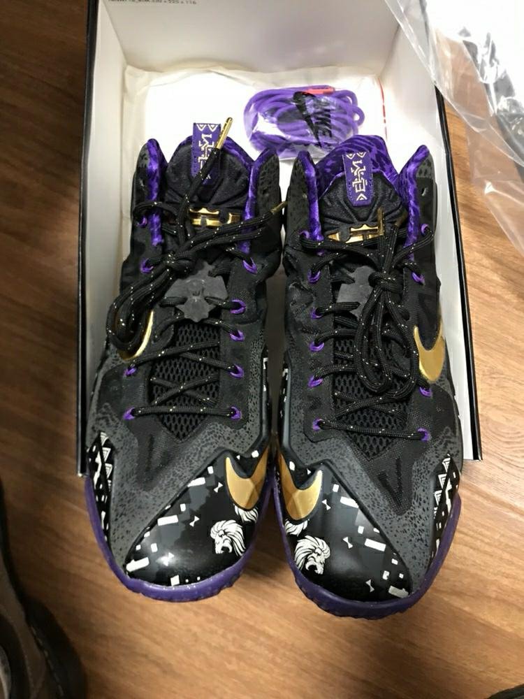 現貨-Nike LeBron 11 BHM LBJ11 詹姆斯11 黑人月 646702-001 US11