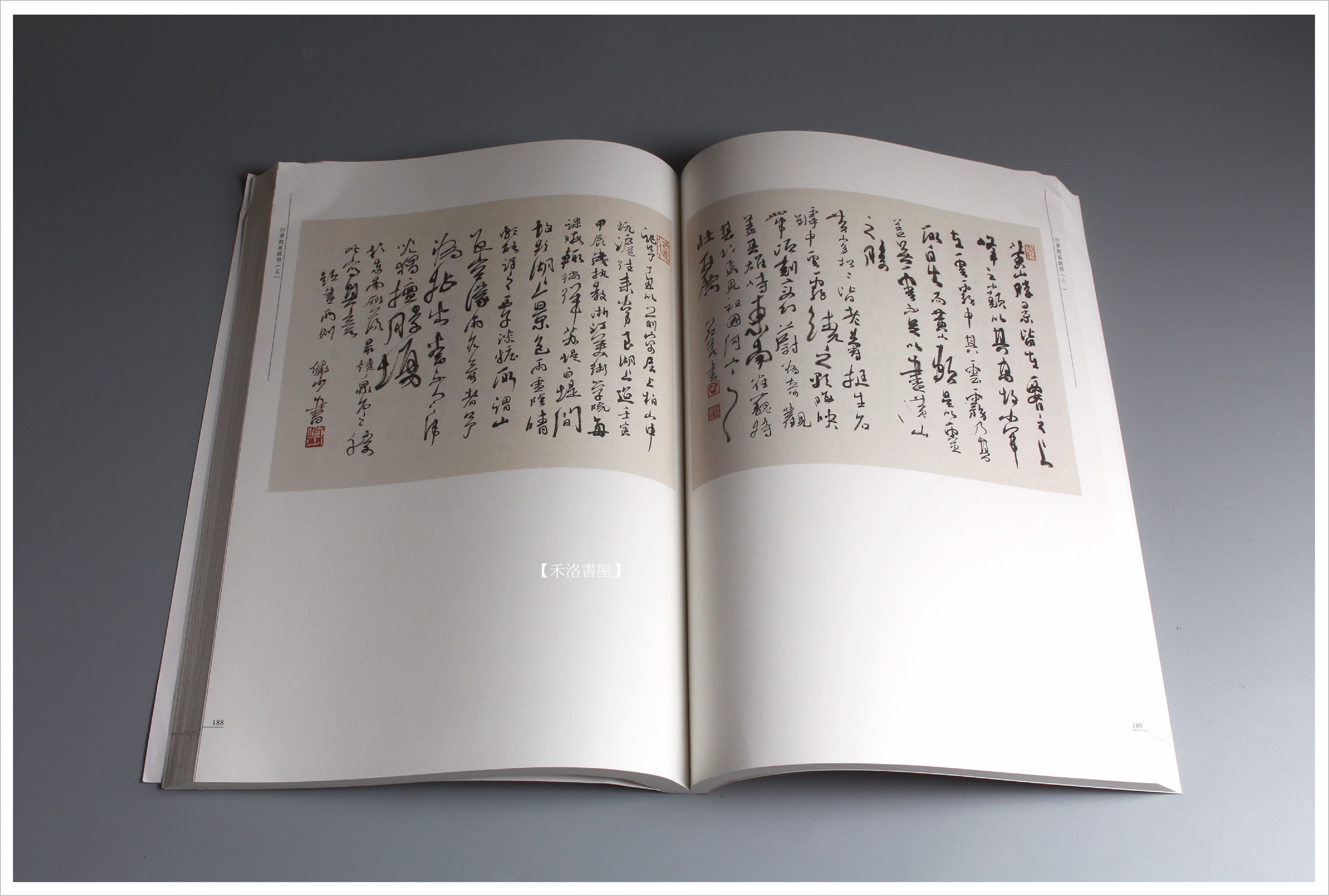 禾洛書屋】陸儼少書法集(福建美術出版社)〈彩色印刷〉草書/書法作品集
