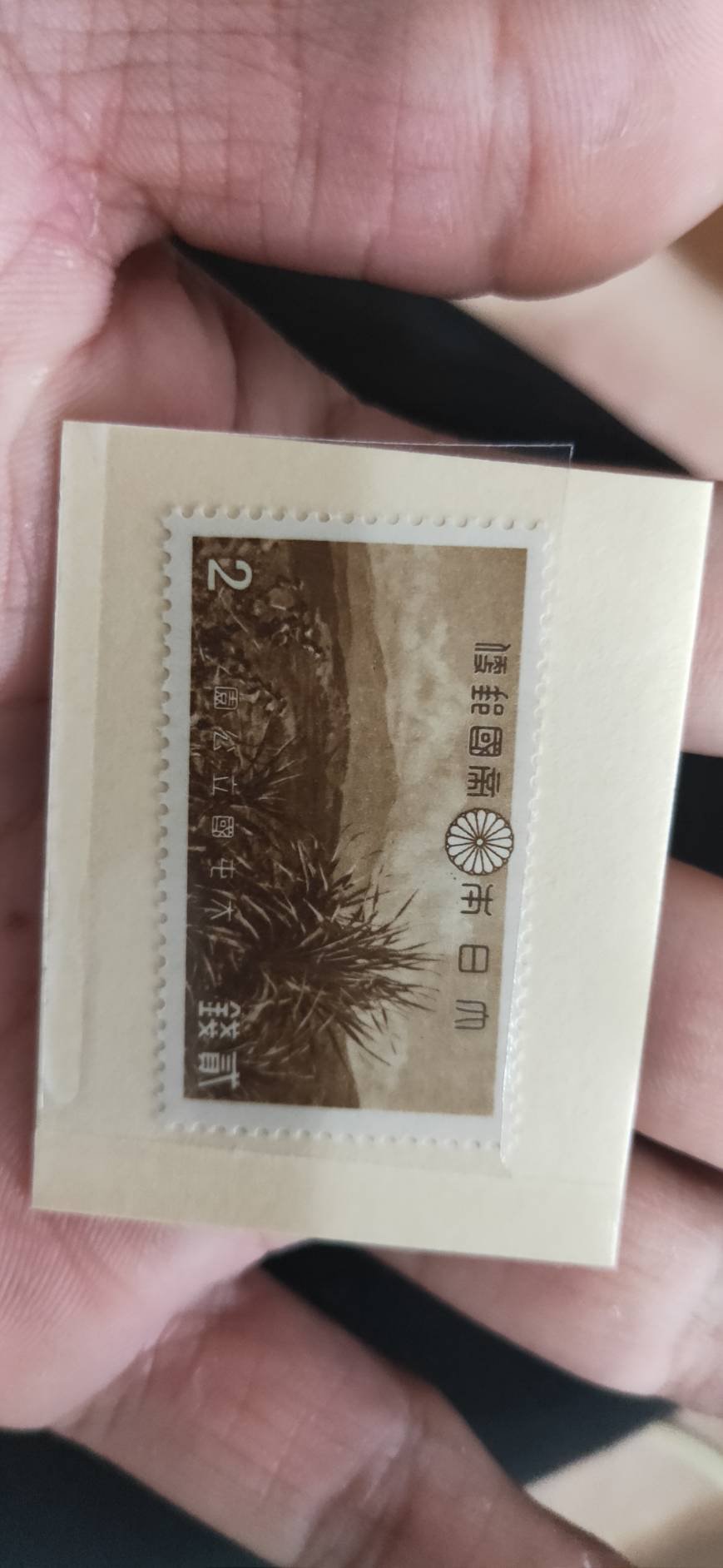 0801Y44 日本切手 国立公園 大屯 新高阿里山 次高タロコ 小型シート 計