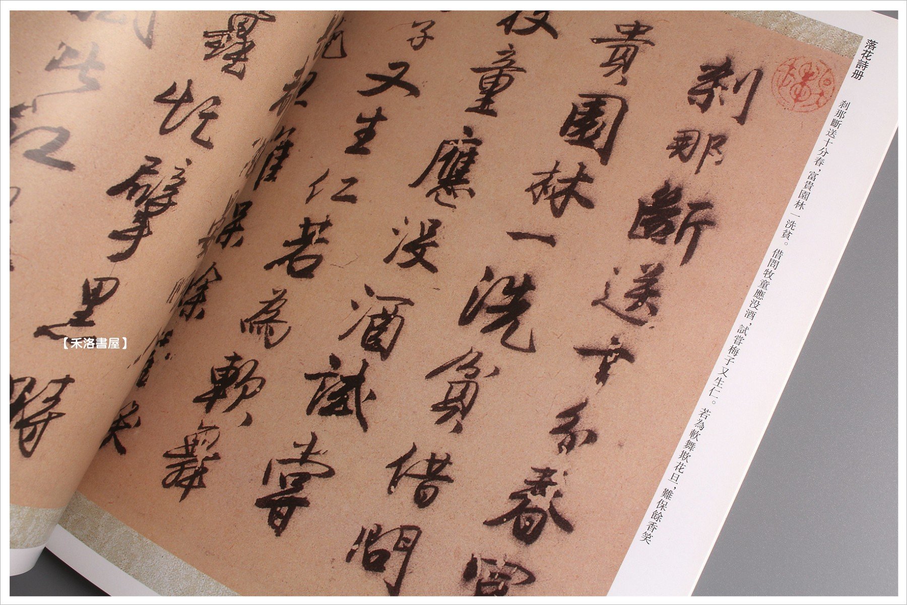 禾洛書屋】歷代名家書法精典-唐寅(中國書店出版)唐伯虎/書法字帖/作品