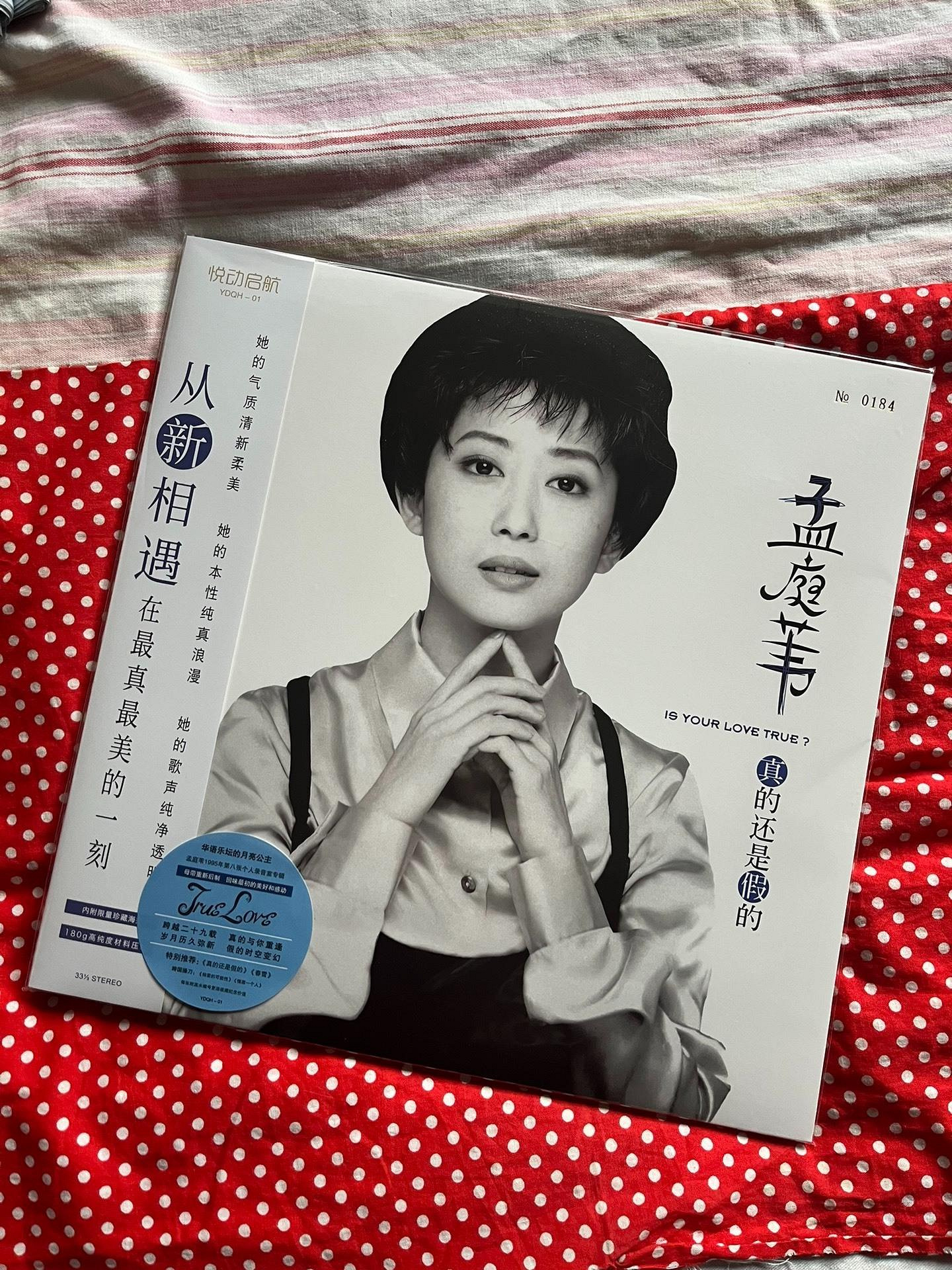 帯付CD孟庭葦・真的還是假的 (Is Your Love True?)/Ting-Wei Meng