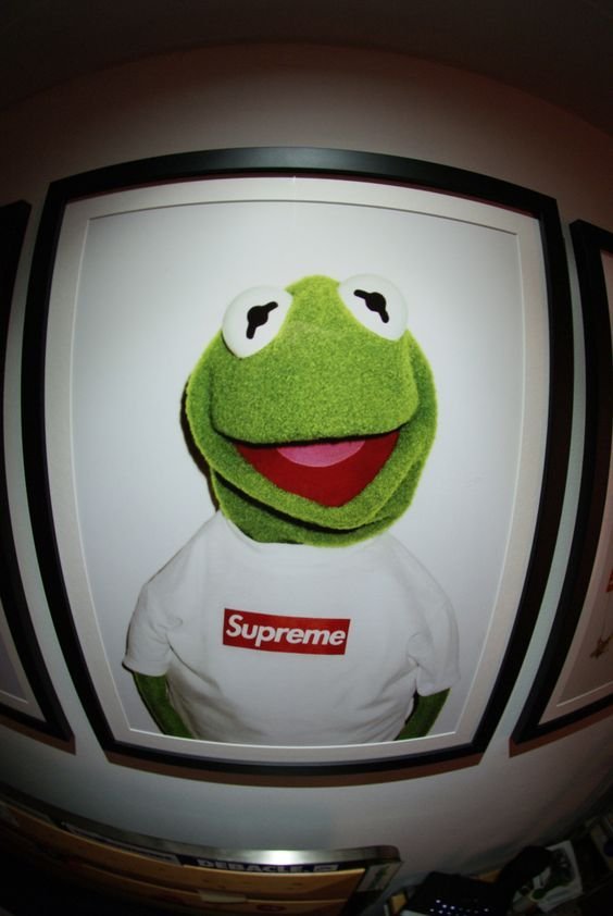 希望商店】 Supreme Kermit Poster 青蛙小子絕版海報| Yahoo拍賣