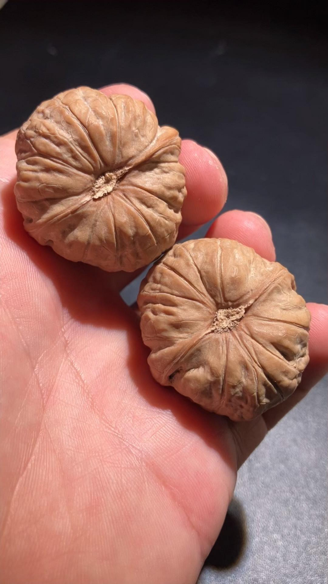 文玩堂：南瓜墩（雷蒙锤） 精品南瓜墩，文玩核桃，南瓜墩核桃，無修，六面精配， | Yahoo拍賣