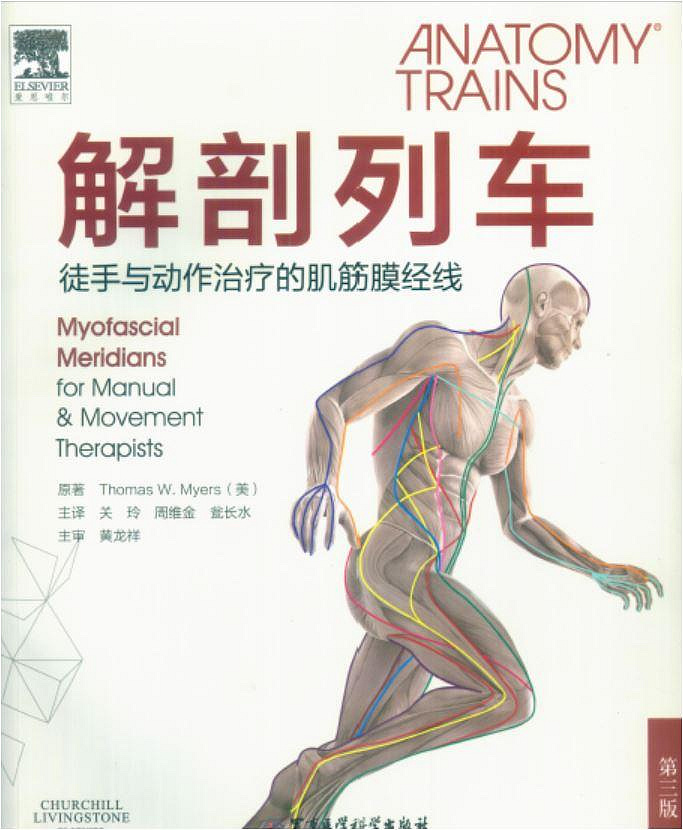 人体解剖与触诊资料原始资料图片第10