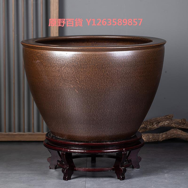 特大荷花缸 • 金魚缸 Flowers and Fish - Enoshima Aquarium Big Sagami Bay Tank / 花と魚