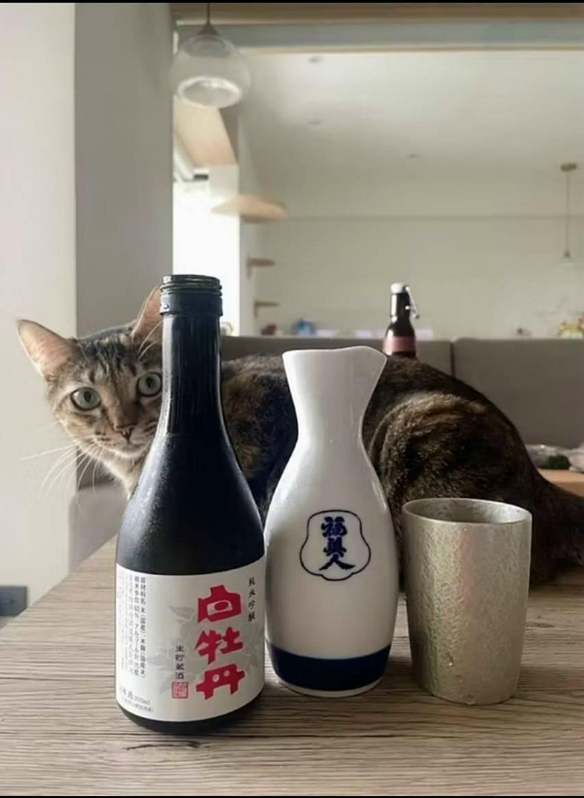 OSAKA SUZUKI~日本製造~tb1~大阪錫器~16-4-1~錫杯~180ml~錫製品~超取免