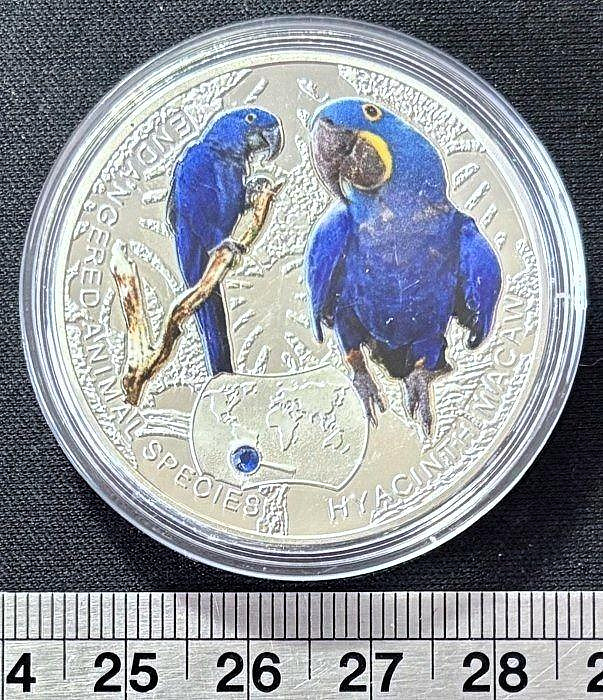 富貴蘭紫金剛 紫藍金剛的價格推薦- 2026年7月| 比價比個夠BigGo