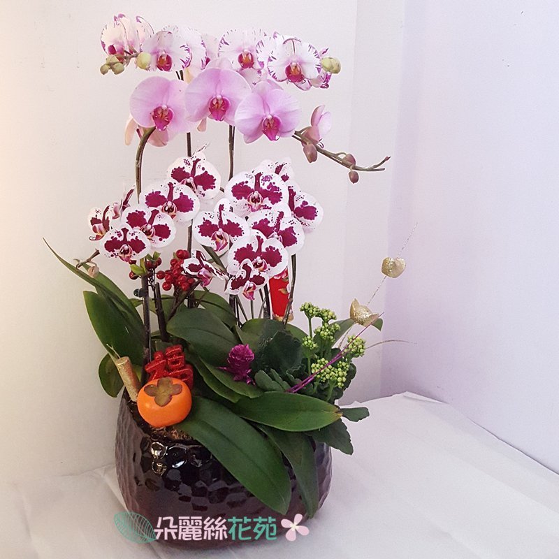 花卉圖6 8e010332-1013-4b71-a6ca-