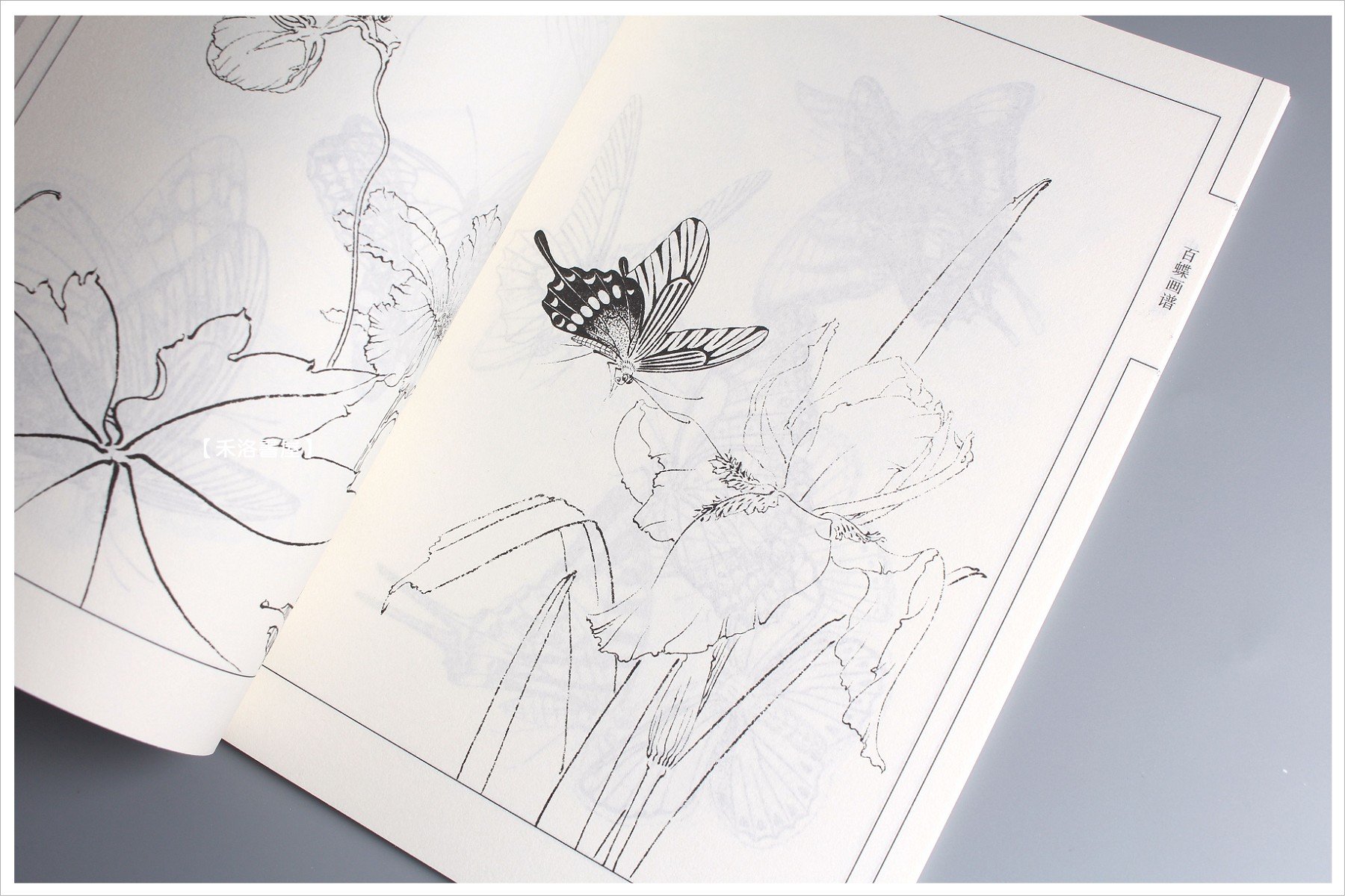 禾洛書屋】中國畫線描《百蝶禽畫譜》(天津楊柳青畫社)水墨白描畫稿