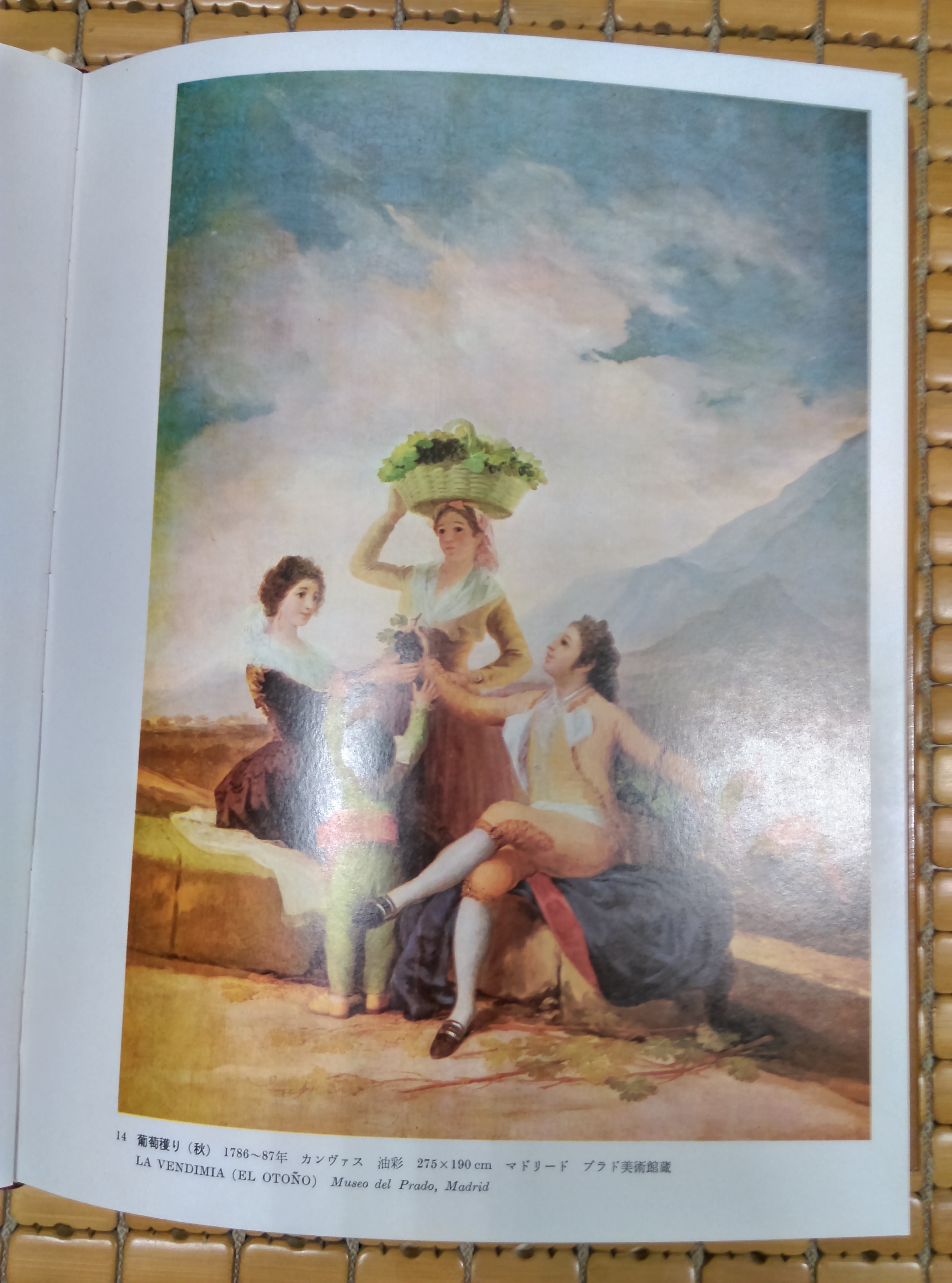 不二書店現代世界美術全集全25冊集英社精裝日文原文書| Yahoo拍賣