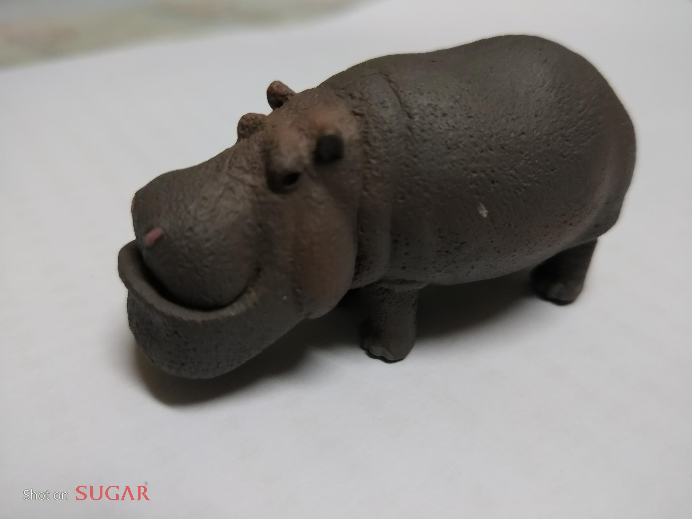 搞不懂狀況隨便賣絕版限量扭蛋星球全家厚道戽斗磁鐵河馬公仔牛雪狼無尾熊鯨魚獅子另售Ps4悠遊卡7-11好想兔