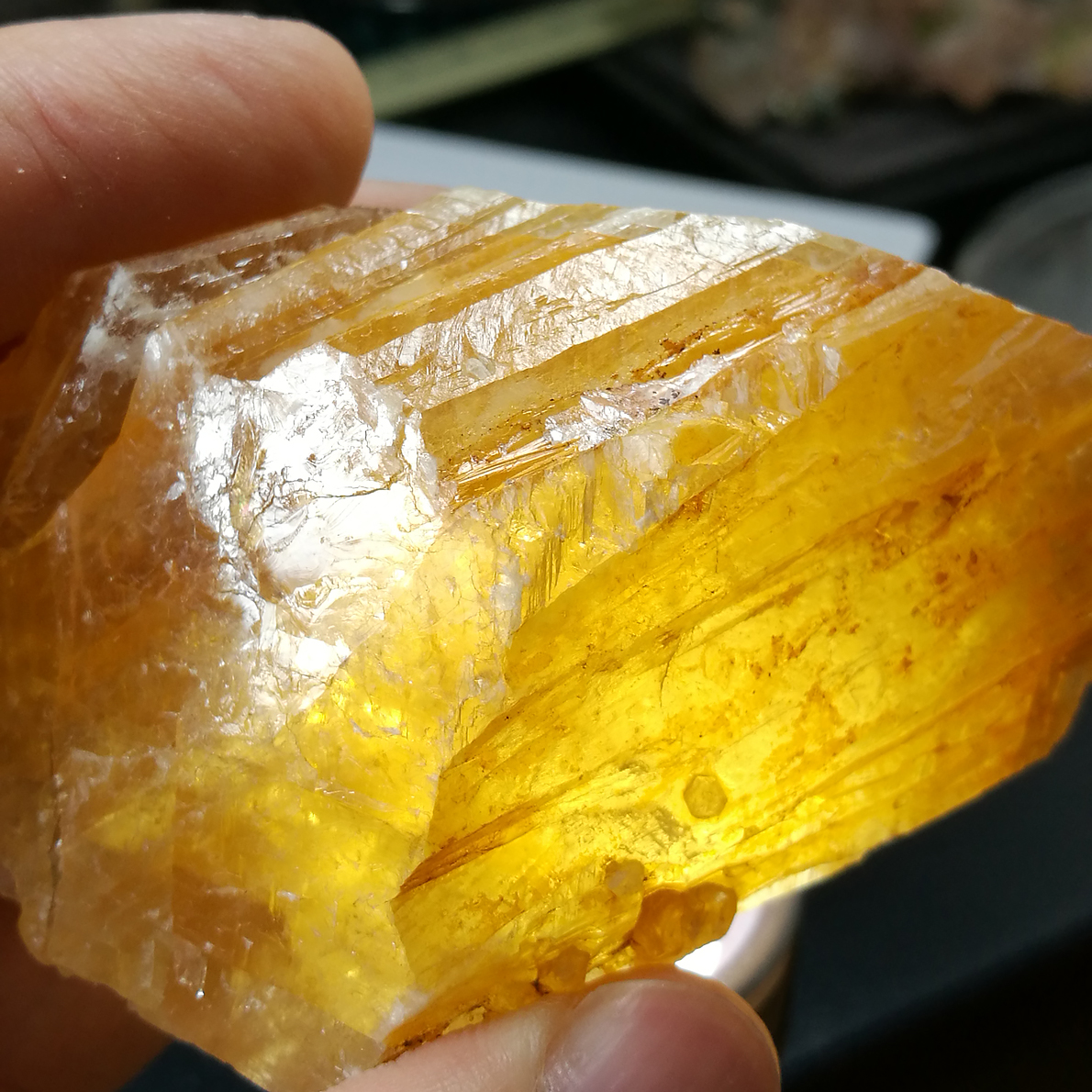 友克鑫礦業]115約重104g-蜂蜜方解石琥珀方解石黃方解石Calcite 蜜糖